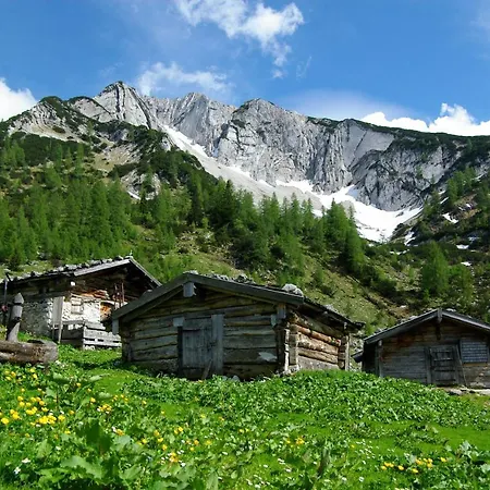 Appartamento Haus Bauer *